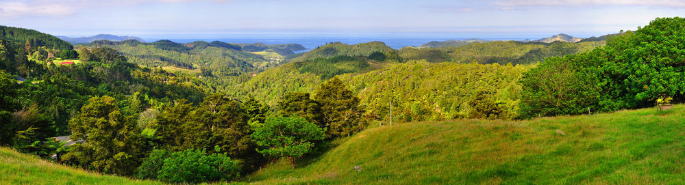 Hopewell B&B Helena Bay Екстериор снимка
